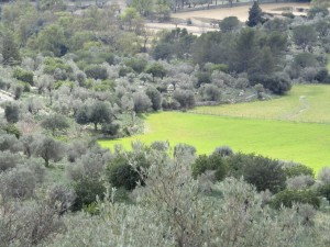 IMG_4576 (Medium)